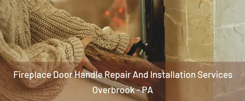 Fireplace Door Handle Repair And Installation Services Overbrook - PA