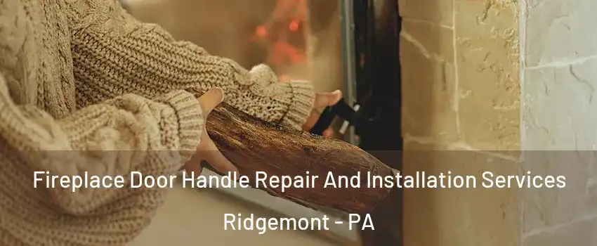 Fireplace Door Handle Repair And Installation Services Ridgemont - PA