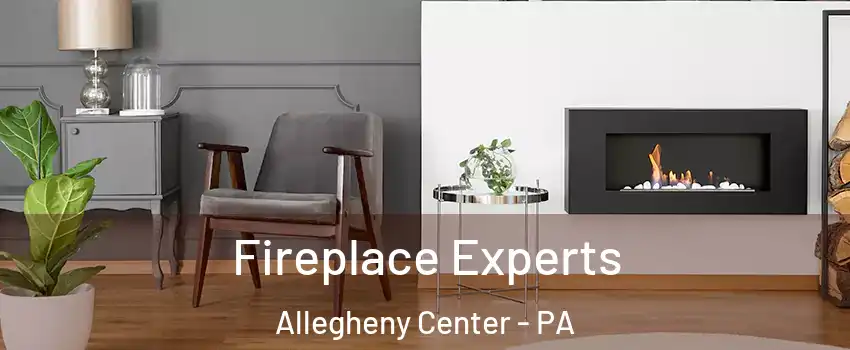 Fireplace Experts Allegheny Center - PA