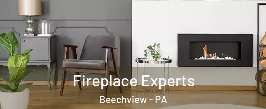 Fireplace Experts Beechview - PA