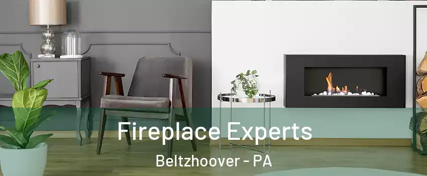 Fireplace Experts Beltzhoover - PA