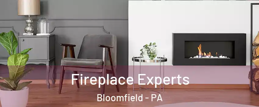 Fireplace Experts Bloomfield - PA