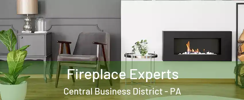 Fireplace Experts Central Business District - PA