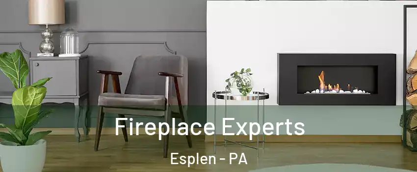Fireplace Experts Esplen - PA