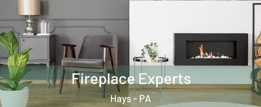 Fireplace Experts Hays - PA