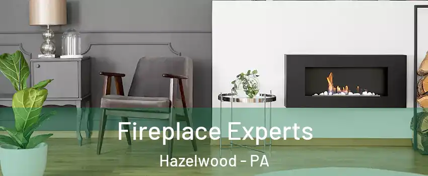 Fireplace Experts Hazelwood - PA