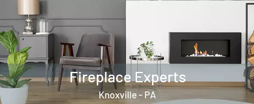 Fireplace Experts Knoxville - PA