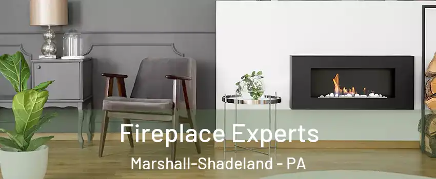 Fireplace Experts Marshall-Shadeland - PA