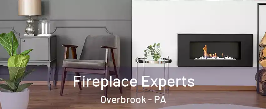 Fireplace Experts Overbrook - PA