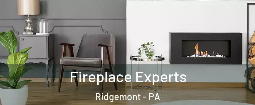 Fireplace Experts Ridgemont - PA