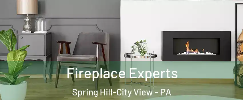 Fireplace Experts Spring Hill-City View - PA