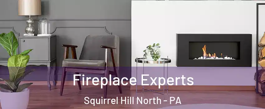 Fireplace Experts Squirrel Hill North - PA