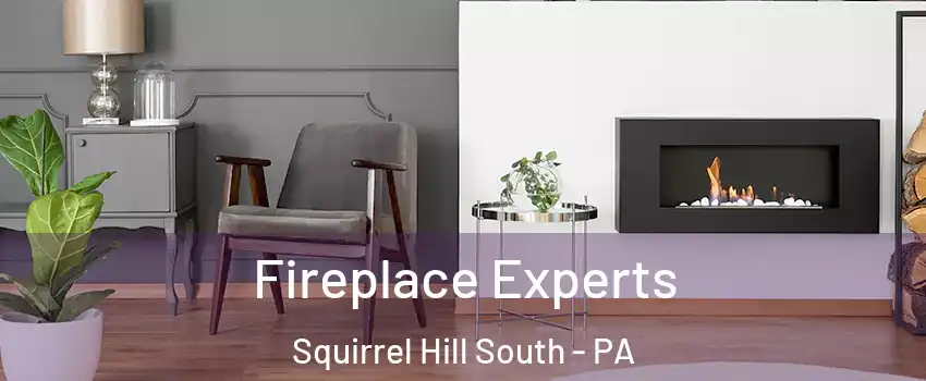 Fireplace Experts Squirrel Hill South - PA