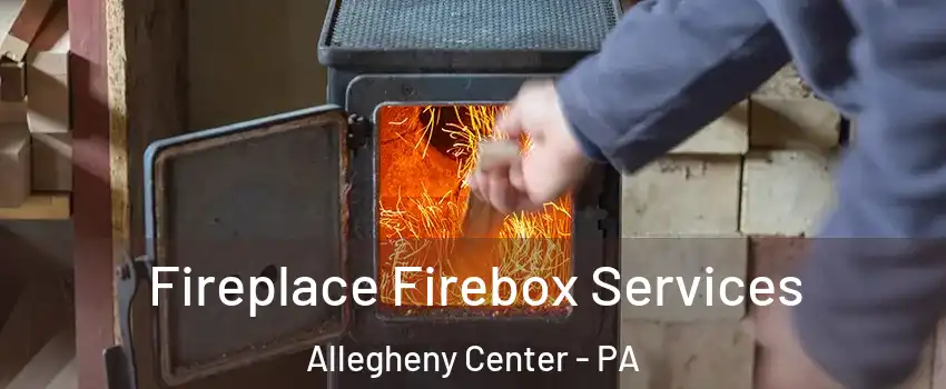Fireplace Firebox Services Allegheny Center - PA