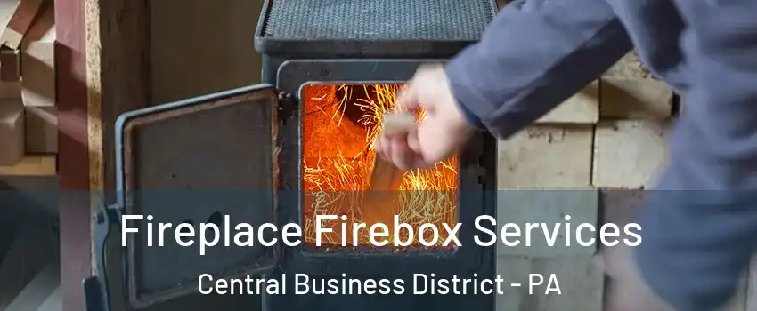 Fireplace Firebox Services Central Business District - PA