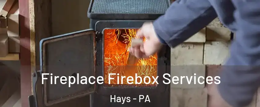 Fireplace Firebox Services Hays - PA