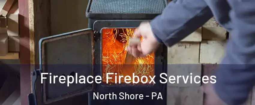 Fireplace Firebox Services North Shore - PA