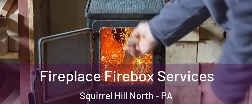 Fireplace Firebox Services Squirrel Hill North - PA