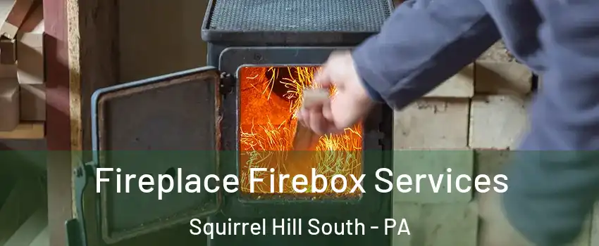 Fireplace Firebox Services Squirrel Hill South - PA
