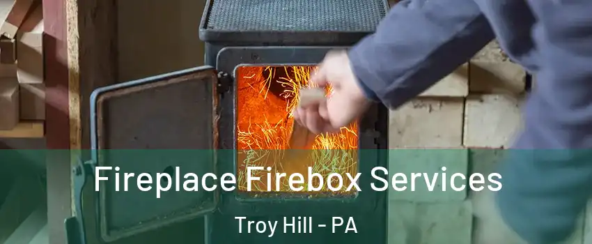 Fireplace Firebox Services Troy Hill - PA