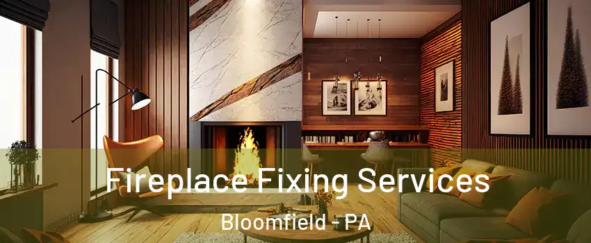 Fireplace Fixing Services Bloomfield - PA