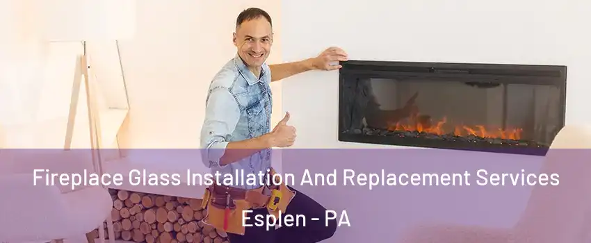 Fireplace Glass Installation And Replacement Services Esplen - PA
