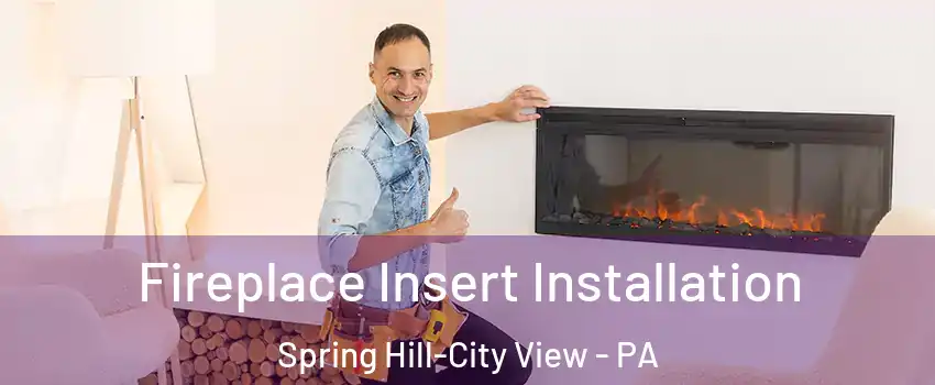 Fireplace Insert Installation Spring Hill-City View - PA