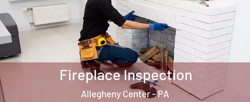 Fireplace Inspection Allegheny Center - PA