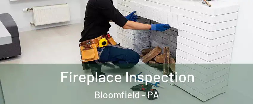 Fireplace Inspection Bloomfield - PA