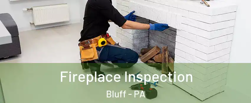 Fireplace Inspection Bluff - PA