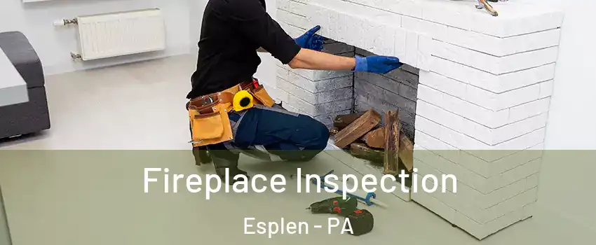 Fireplace Inspection Esplen - PA