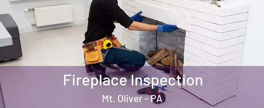 Fireplace Inspection Mt. Oliver - PA