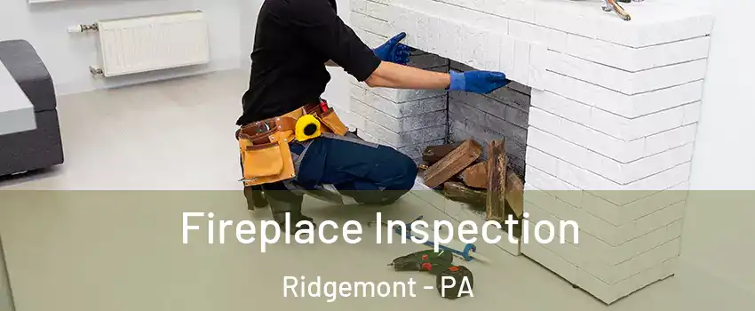 Fireplace Inspection Ridgemont - PA