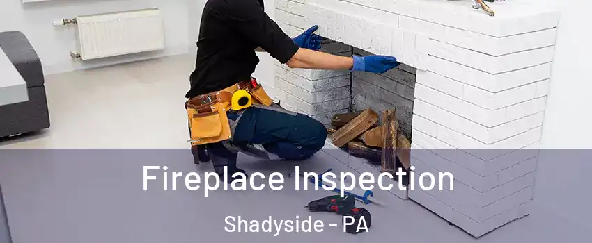 Fireplace Inspection Shadyside - PA