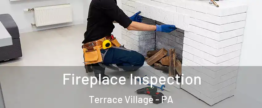 Fireplace Inspection Terrace Village - PA