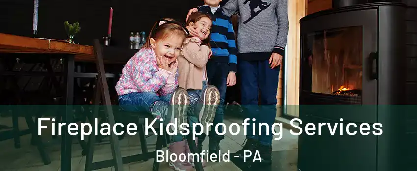 Fireplace Kidsproofing Services Bloomfield - PA