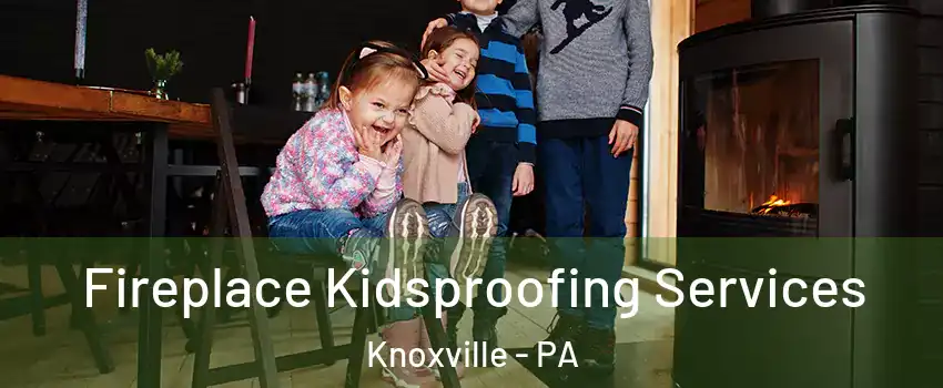 Fireplace Kidsproofing Services Knoxville - PA