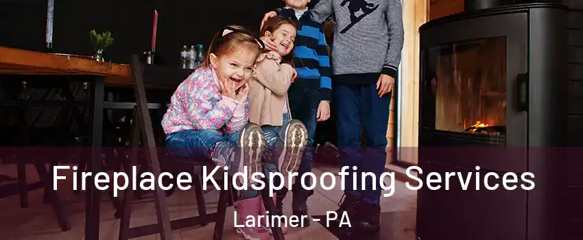 Fireplace Kidsproofing Services Larimer - PA