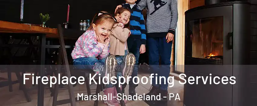 Fireplace Kidsproofing Services Marshall-Shadeland - PA