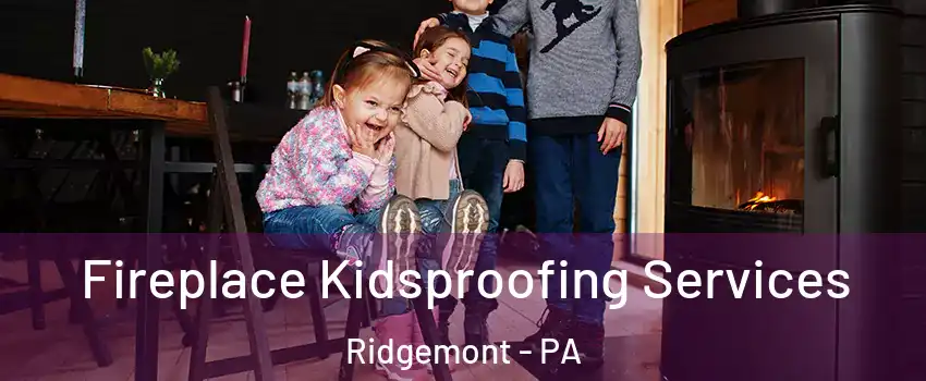Fireplace Kidsproofing Services Ridgemont - PA