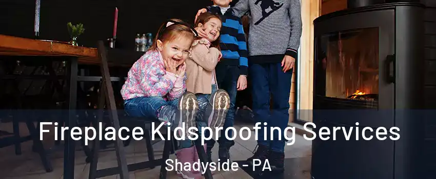 Fireplace Kidsproofing Services Shadyside - PA