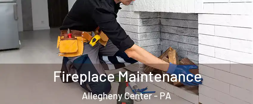 Fireplace Maintenance Allegheny Center - PA