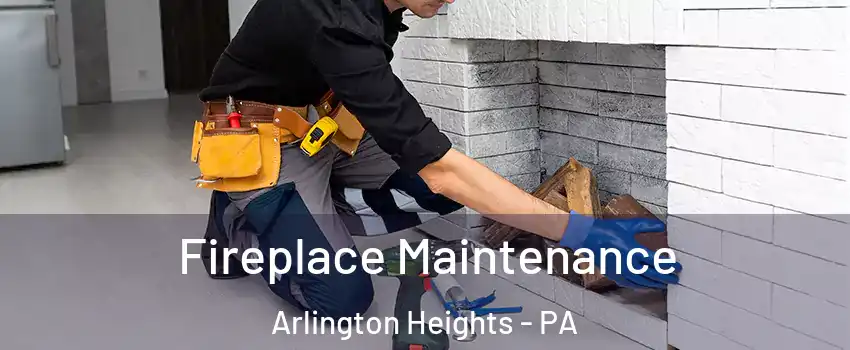 Fireplace Maintenance Arlington Heights - PA