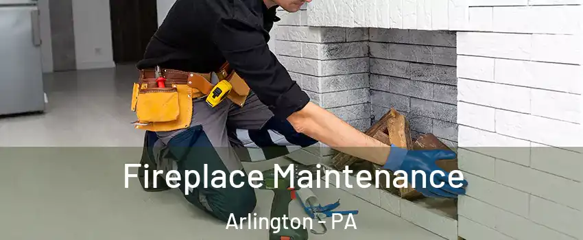 Fireplace Maintenance Arlington - PA