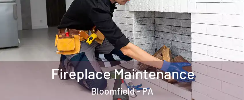 Fireplace Maintenance Bloomfield - PA