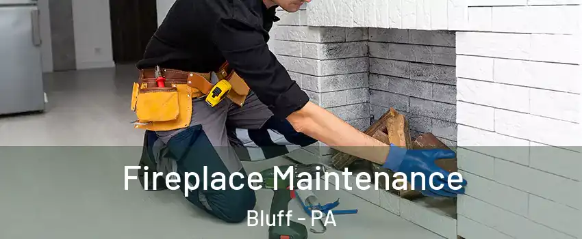 Fireplace Maintenance Bluff - PA