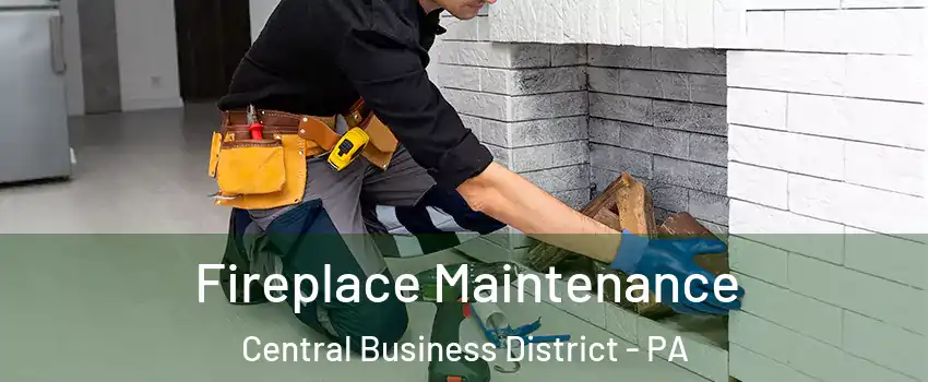 Fireplace Maintenance Central Business District - PA