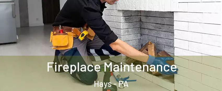 Fireplace Maintenance Hays - PA