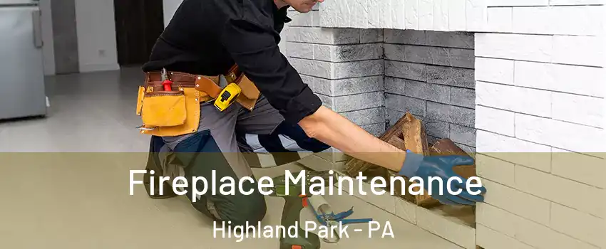 Fireplace Maintenance Highland Park - PA
