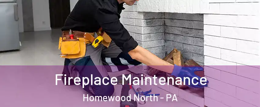 Fireplace Maintenance Homewood North - PA